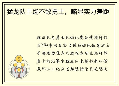 猛龙队主场不敌勇士，略显实力差距